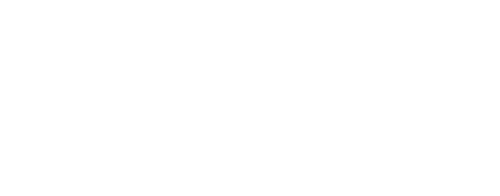 Bugbusters